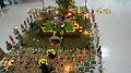 DSC04555